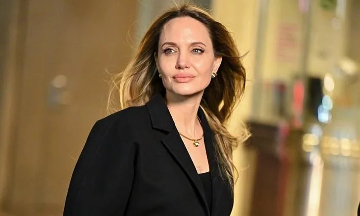 Angelina Jolie hài lòng với phán quyết mới về vụ 'Brad Pitt bạo hành' - Báo  VnExpress Giải trí