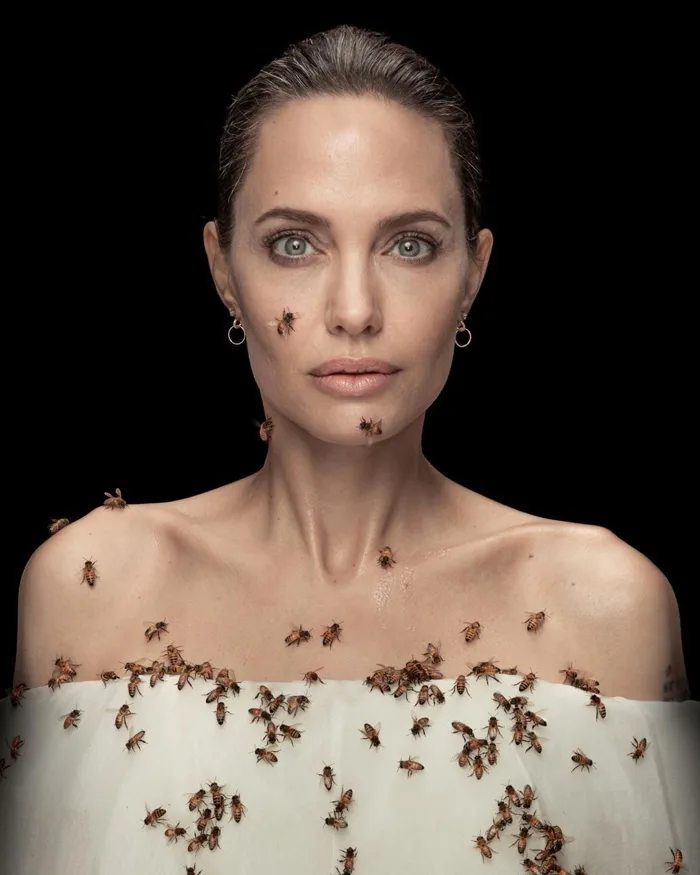 Angelina Jolie chụp ảnh với ong