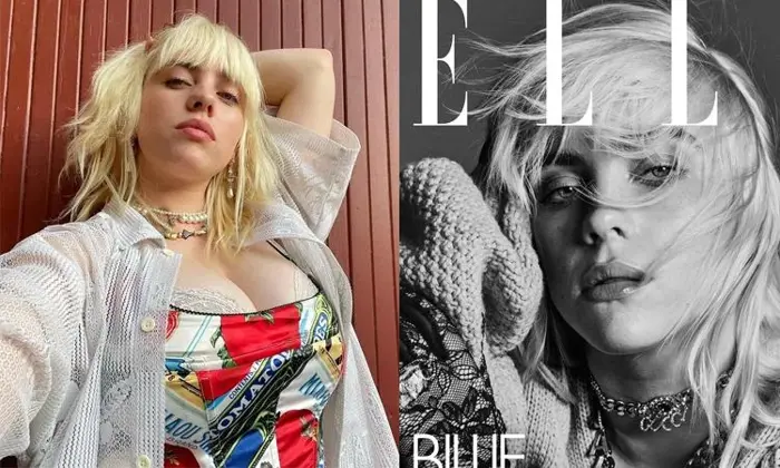 Billie Eilish mất 100.000 fan vì đăng ảnh khoe vòng một 'khủng'