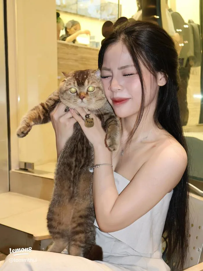 anh-gai-xinh-be-meo-1