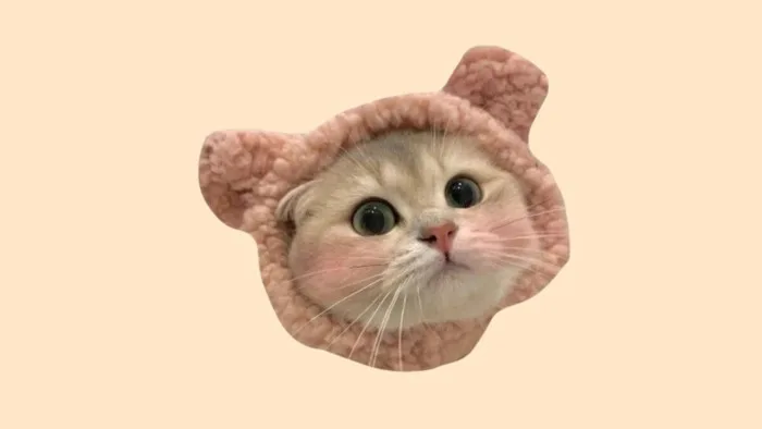60+ Mẫu Sticker Mèo Cute, Hình Con Mèo Dễ Thương Chibi