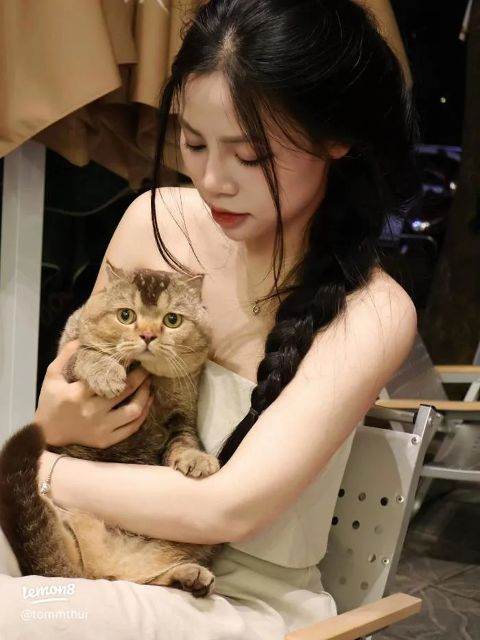 Cô gái ôm mèo cực xinh: bộ ảnh dễ thương với boss mặt nghiêm