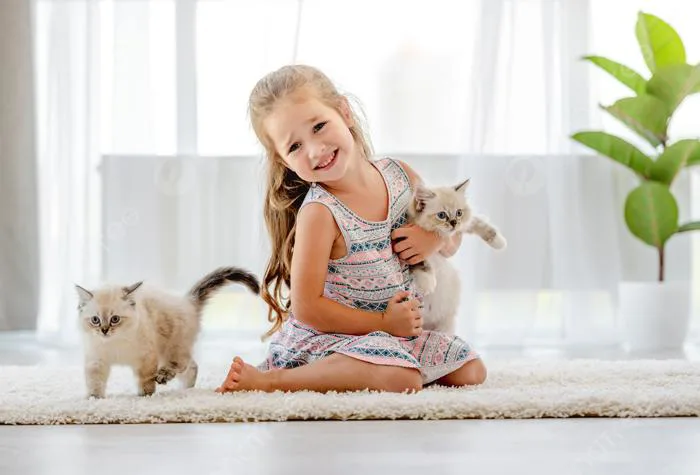 Cô Gái Với Chú Mèo Con Ragdoll Xinh đẹp đáng Yêu Nhỏ Và Hình ảnh Để Tải Về  Miễn Phí - Pngtree