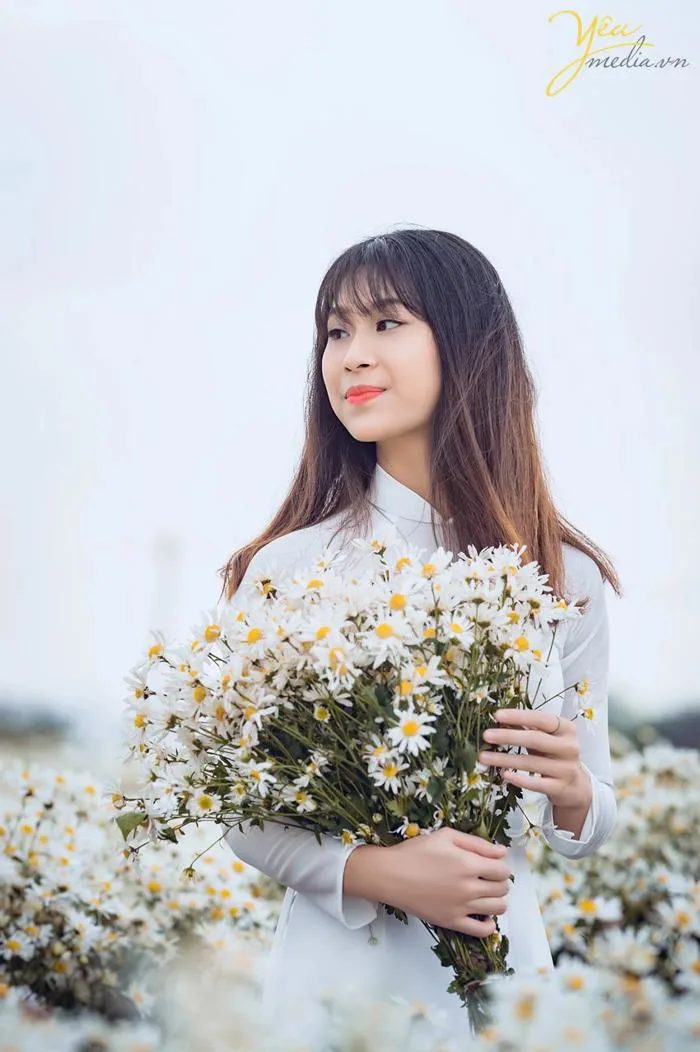 Chụp ảnh cúc họa mi thuần khiết cùng thiếu nữ xinh đẹp