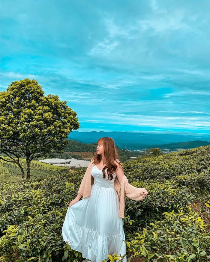 Du lịch Đà Lạt Tháng 12 Ăn gì? Chơi gì? Ở đâu? - HaloTravel