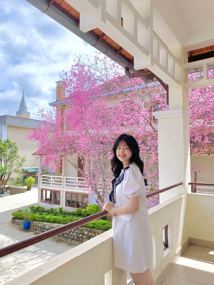 Nữ sinh Đà Lạt xinh xắn ngọt ngào như nàng thơ, mơ ước trở thành kỹ sư công  nghệ