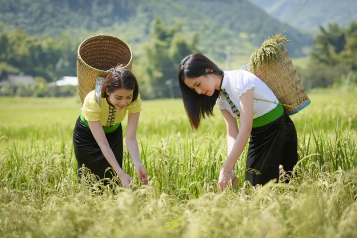 Bất ngờ với hình ảnh thiếu nữ dân tộc của Á hậu Liên Phương