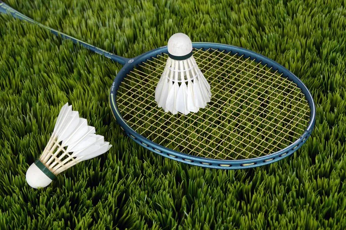 Hơn 100 ảnh Cầu Lông và Badminton miễn phí - Pixabay