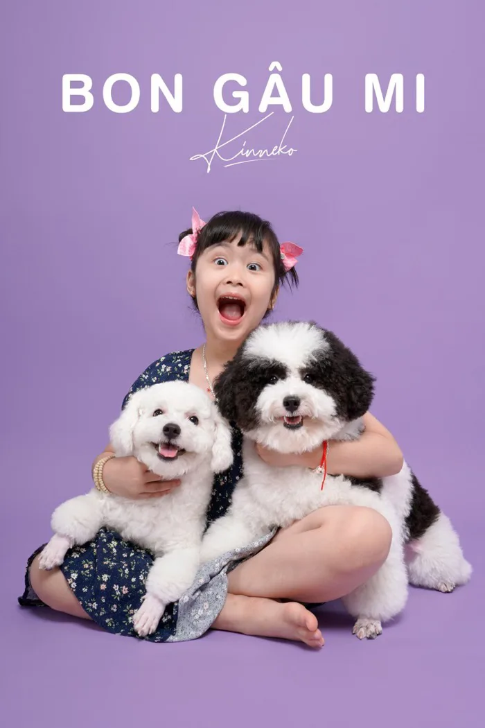 Lưu lại những khoảnh khắc đặc biệt của em Pet tại Kin Neko Pet Studio | Kin  Neko Petshop