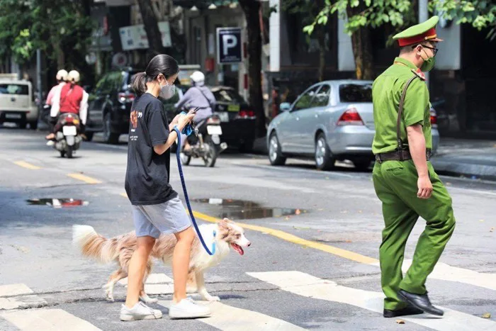 Dắt chó đi dạo, cô gái bị xử phạt 2 triệu đồng