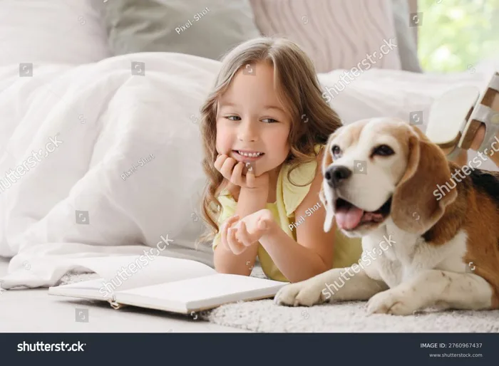Girl, dog : 471 nghìn ảnh, hình ảnh có sẵn và ảnh miễn phí bản quyền |  Shutterstock