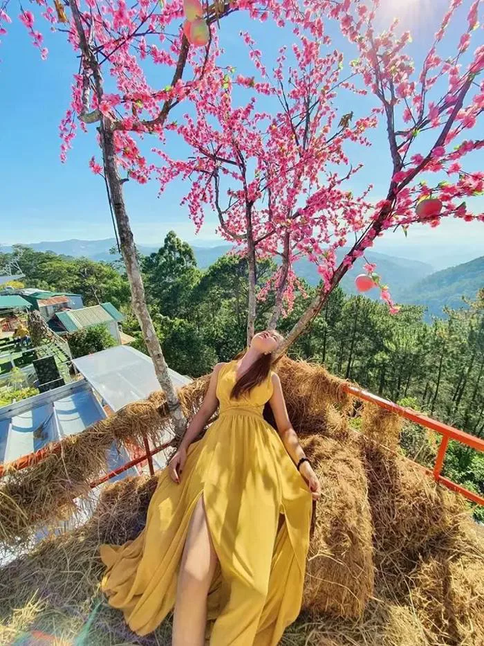 Du lịch Đà Lạt, cô gái Huế liền có ngay bộ ảnh để đời