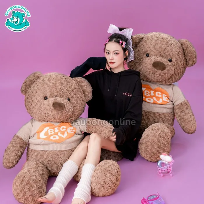 20+ Mẫu Gấu Bông Cute Dễ Thương Được Tìm Mua Nhiều