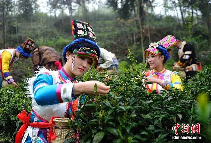 anh-gai-xinh-hai-tra-1