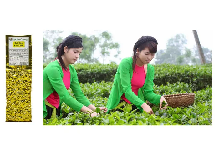 CHÈ THÁI GÁI TUYÊN – BẠN ĐÃ TỪNG NGHE TỚI?