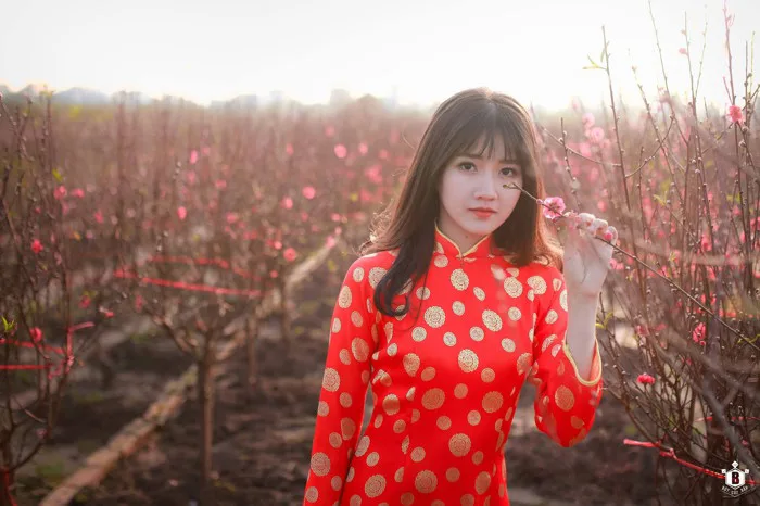 Hình ảnh girl xinh ngày tết duyên dáng thu hút muôn ánh nhìn