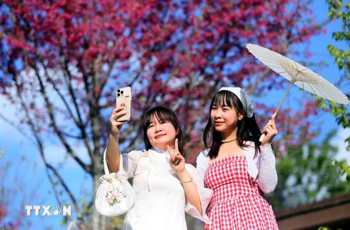 Thời tiết Tết Nguyên đán Bính Ngọ 2026 thuận lợi cho các hoạt động du xuân  - Báo và phát thanh, truyền hình Quảng Trị
