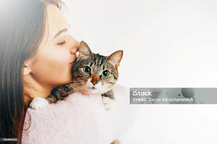 Cô Gái Hôn Một Con Mèo Xinh Đẹp Cô Gái Xinh Đẹp Ôm Một Con Mèo Cô Gái Cầm  Một Con Mèo Hình Ảnh Dịu Dàng Của Một Con Mèo Xinh Đẹp