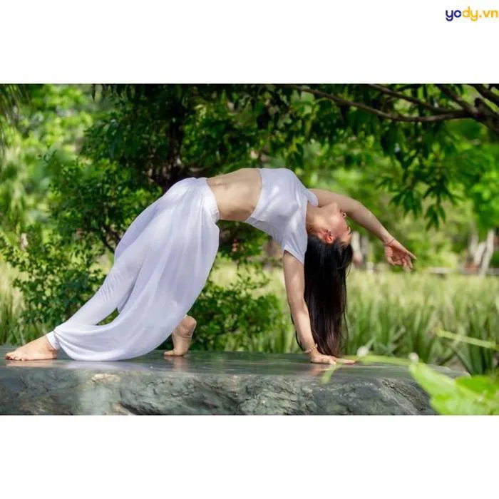 50+ Bộ sưu tập ảnh đẹp yoga, các tư thế yoga chụp ảnh đẹp nhất | Yody