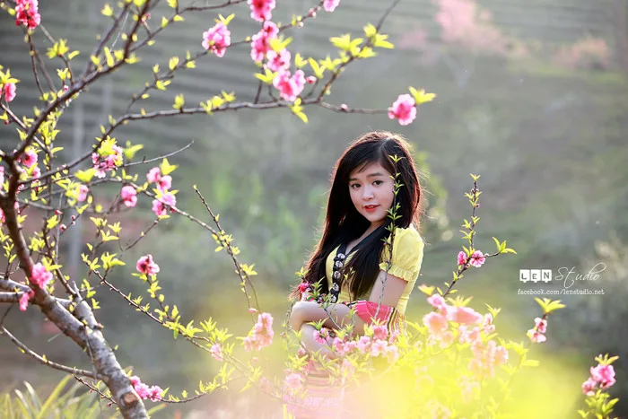 vanhoavietnam: Khèn bè và người con gái Thái (Văn Hóa Tây Bắc)