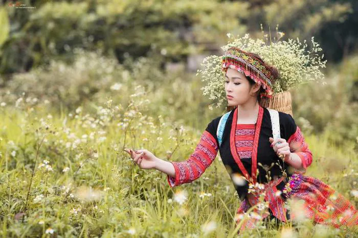 Tour du lịch Tây Bắc 3 ngày 2 đêm: Hà Nội - Mộc Châu - Sơn La - Điện Biên