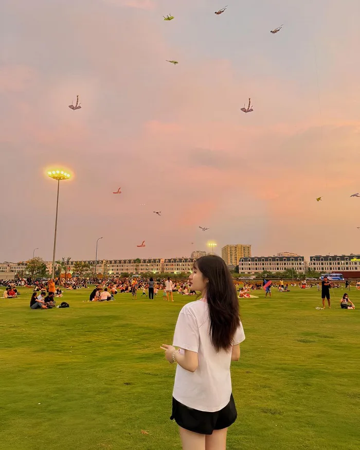 Những cánh đồng diều đẹp ở Việt Nam siêu rộng, siêu đẹp khi hè đến