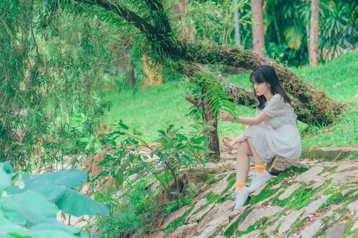 hình ảnh : đẹp, con gái, màu xanh lá, thiên nhiên, Hệ sinh thái, Lá, Cây  cỏ, thực vật, rừng nhiệt đới, Rừng cây, Rừng nhiệt đới, chi nhánh, Rừng  già, Giải