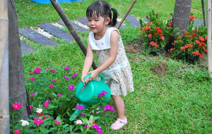9 nguyên tắc tưới cây cơ bản | Trồng Rau Đô Thị