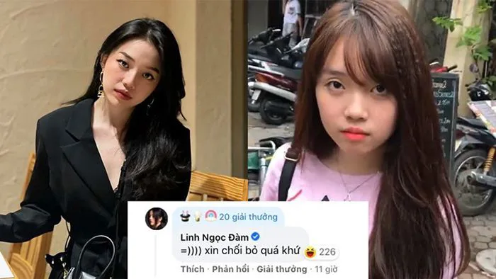 Những tấm ảnh thời còn 'phèn' của Linh Ngọc Đàm khiến fan thích thú, khổ  chủ đau lòng xin 'chối bỏ'