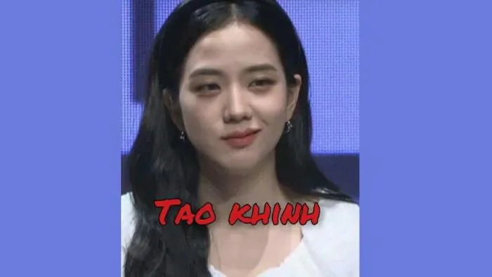 101 mẫu ảnh dìm BlackPink hài hước và độc lạ