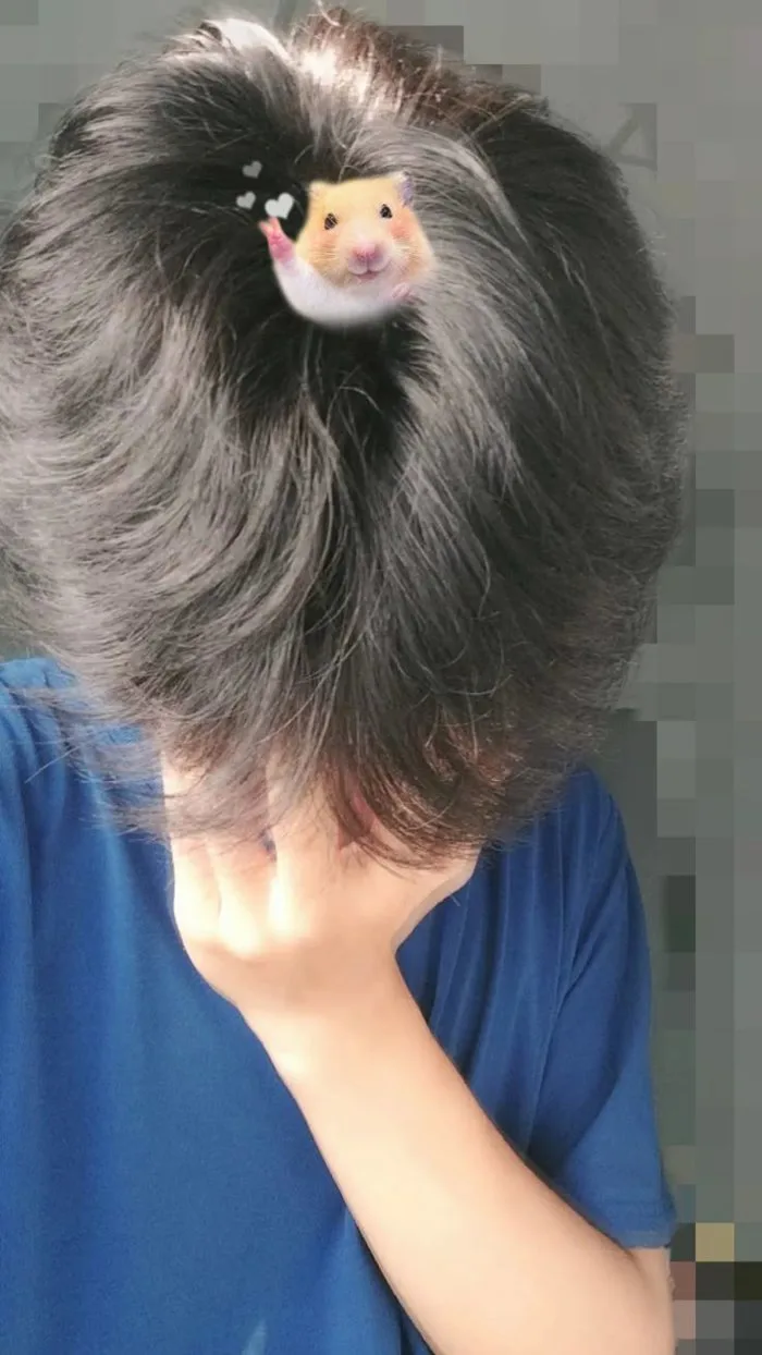 Trai 2k8 che mặt | Ảnh trai 2k10 che mặt, Ảnh rừng, Tóc đẹp