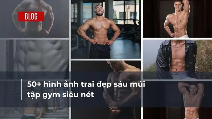356+ Tuyển Tập Trai Đẹp 6 Múi Hàn Quốc Ngầu Lạnh Lùng 2026