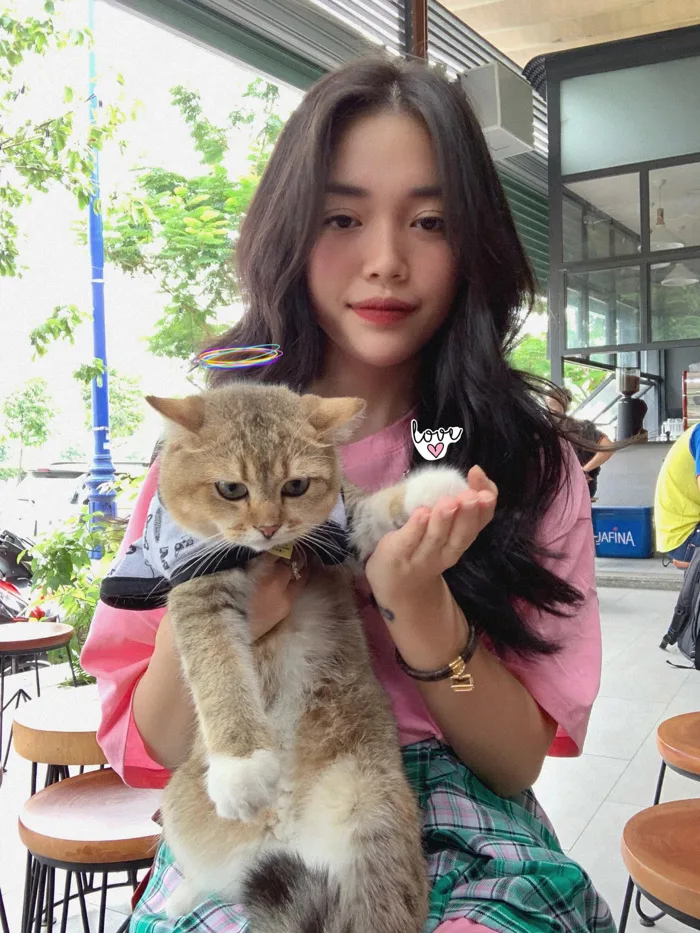 Bóc giá dàn thú cưng của hội trai xinh gái đẹp: Nghìn đô là chuyện bình  thường, thần thái sang chảnh đã nói lên tất cả