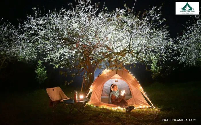 99+ Ảnh cắm trại đẹp chill, đêm và ngoài trời cực xịn
