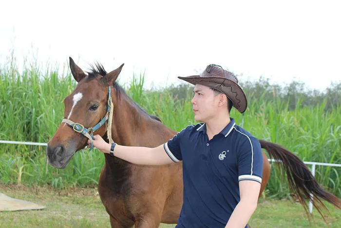 Trang trại ngựa quý trên đất Tây Ninh