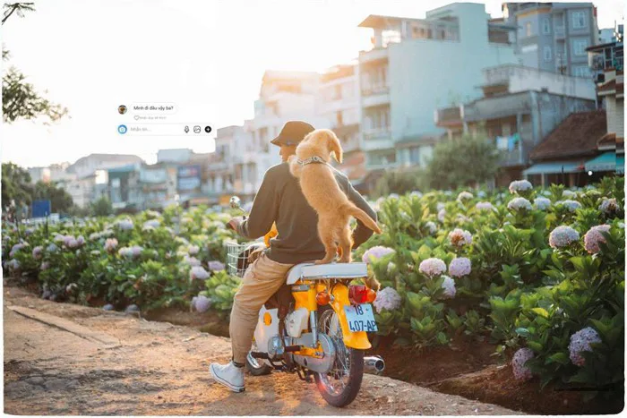 Ngắm bộ ảnh trai đẹp du lịch cùng cún cưng này mới thấy: Đi Đà Lạt với  người yêu hay bạn thân là xưa rồi!