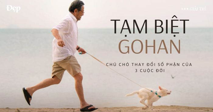 Tạm biệt Gohan”: Tổ ấm nhỏ nhoi của chú chó bị bỏ rơi - Tạp chí Đẹp