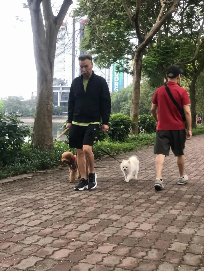 Hãi hùng chó thả rông, không rọ mõm nơi công cộng