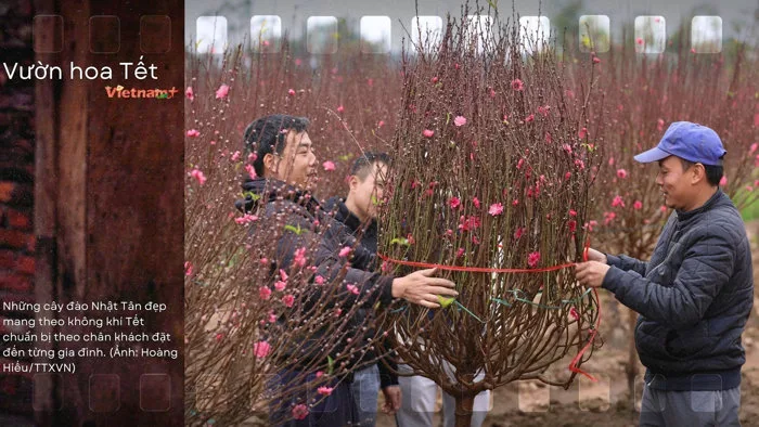 Rực rỡ hình ảnh đón Tết cổ truyền của dân tộc