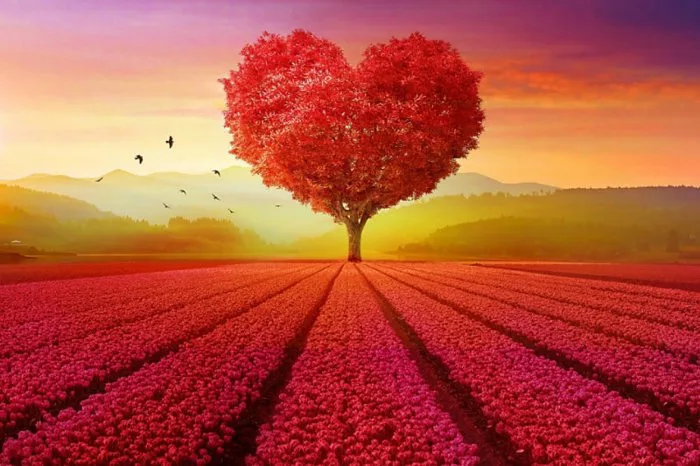 Top hình nền trái tim cute, siêu đẹp hot hit hiện nay