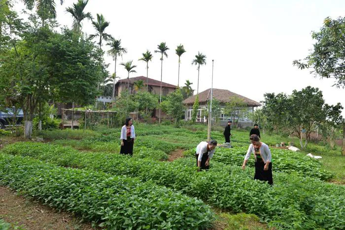 Mô hình trang trại làm du lịch