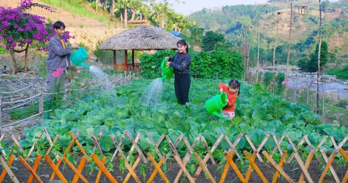 Trang trại đẹp như tranh giúp chàng trai Mường thu tiền tỉ mỗi năm