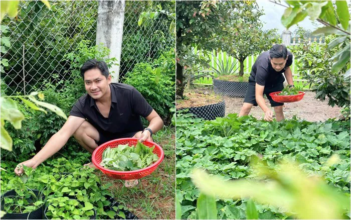 Trai đẹp U40 chưa vợ Minh Luân có nhà vườn 3.000m2, về quê khoe vườn rau đã  đời