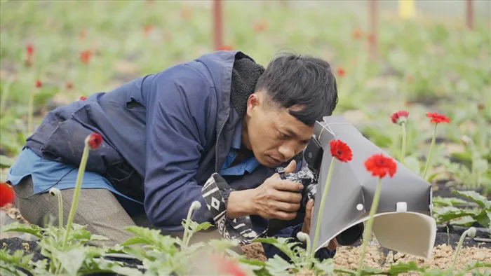 Vẻ đẹp trong mắt một “nhiếp ảnh gia nông dân”