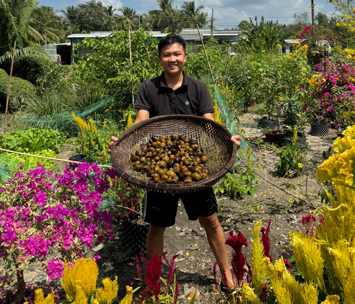 Chàng trai về quê dựng chòi, làm khu vườn rau xanh mướt