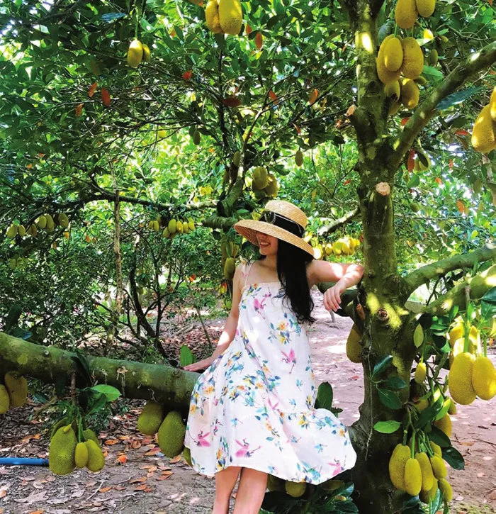 Vườn trái cây đẹp như phim ở Long Khánh, ngỡ lạc lên Đà Lạt, ngào ngạt mùi  trái chín, quay phim, chụp ảnh là nhất