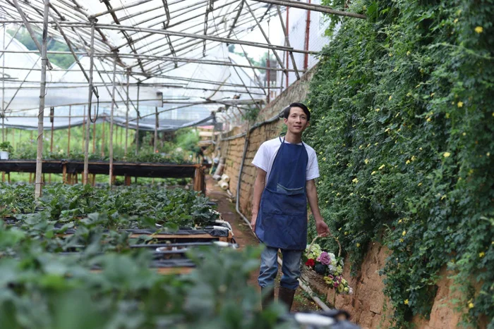Bỏ việc công sở, chàng trai 8X xây nhà gỗ, trồng hồng, làm farmstay đẹp như  mơ ở Đà Lạt