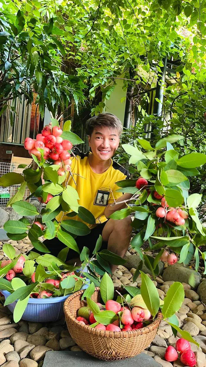 Đàm Vĩnh Hưng khoe ảnh mặc đẹp làm vườn nhưng bị 'lu mờ' trước vẻ đẹp của  hoa trái trong căn biệt thự