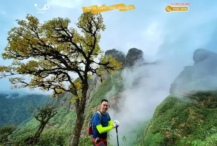 REVIEW TOUR LEO NÚI NGŨ CHỈ SƠN 2N3Đ: TRAVELUP