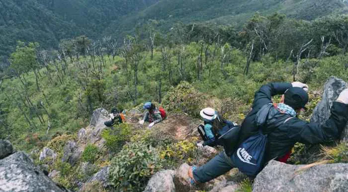 Top 10 cung đường trekking đẹp nhất Việt Nam mà bạn nên trải nghiệm